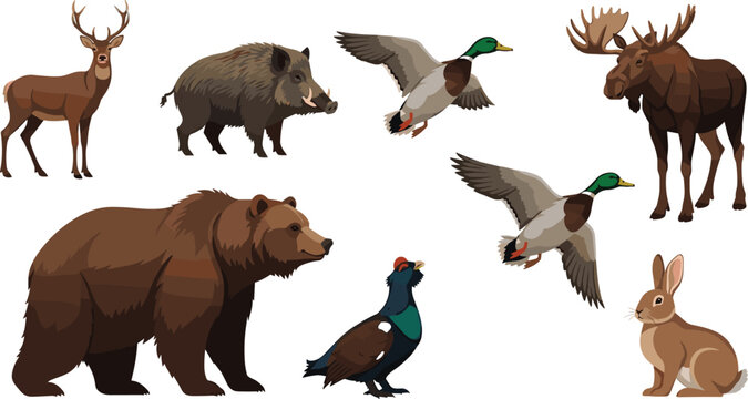 Forest Wildlife Set with Bear, Moose, Deer, Wild Boar, Duck, Grouse, and Rabbit for Nature Vector Illustration.