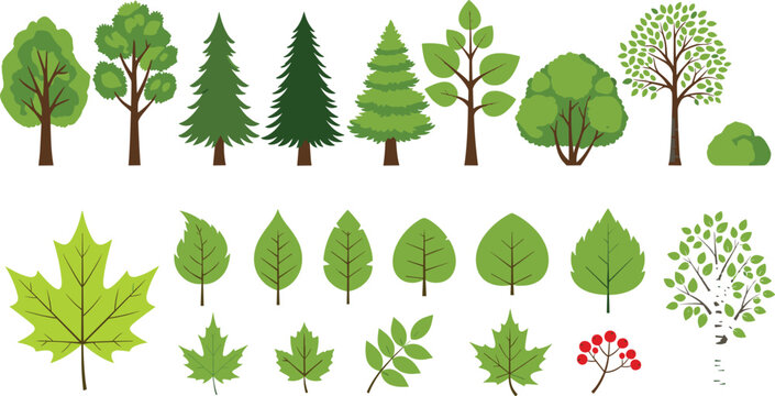 Tree and Leaf Collection with Various Forest Trees and Botanical Elements for Nature Vector Illustration.