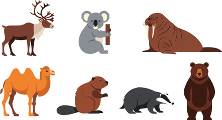 Fototapeta premium Wild Animals Collection with Reindeer, Koala, Walrus, Camel, Beaver, Badger, and Bear for Nature Vector Illustration Set.