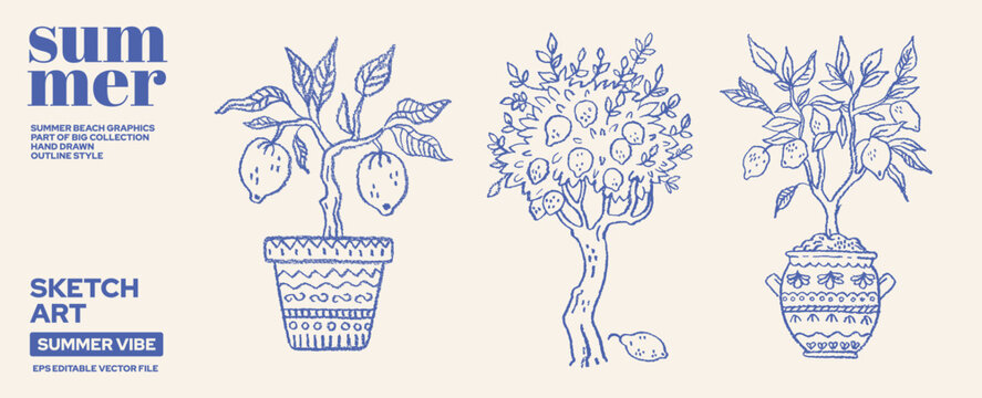 Lemon tree in pot sketch. Lemon and orange fruit vector. Citrus plant drawing. Doodle line limoncello fruit set isolated. Italian pattern vintage in vase and pot. Mediterranean tree illustration bg
