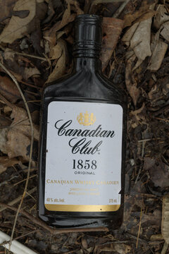 discarded 375 ml plastic bottle of Canadian Club 1858 whisky (&ldquo;mickey&rdquo;) lies on the ground, highlighting issues of alcohol-related litter and persistent plastic waste in urban environments, Toronto
