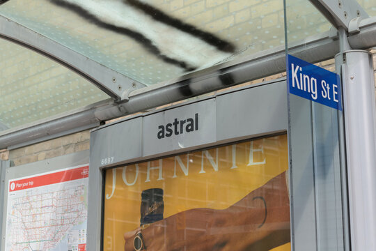 detail of a bus shelter on King St E with out of home advertising for alcohol, and a TTC route map in Toronto