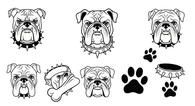 Bulldog Face Collection: Grumpy Dog Heads, Paw Prints, Bone, Collar - Vector Art