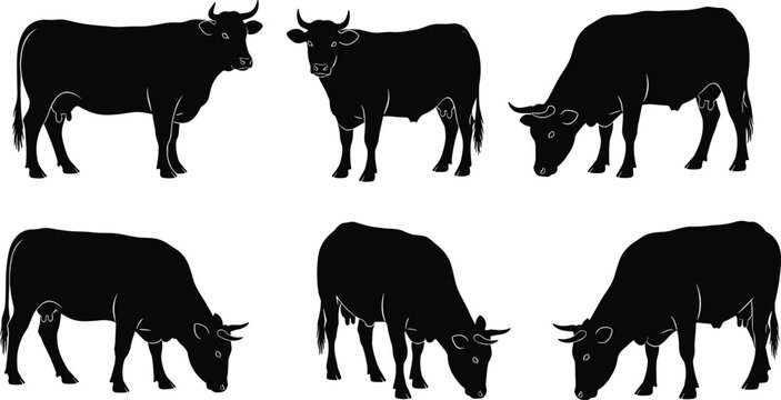 Cartoon illustrated cow silhouettes collection featuring standing grazing natural poses creative farm livestock animal artwork rural modern scene