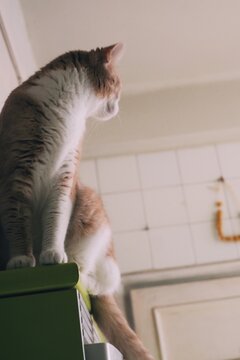 Processed with VSCO with a1 preset
