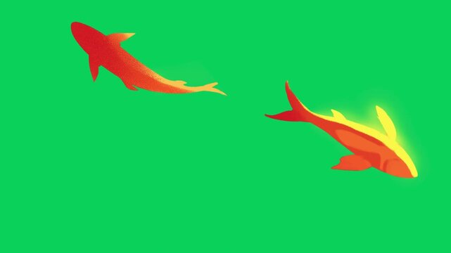 Dynamic 2D animation featuring two vibrant orange and yellow koi fish swimming in opposite directions toward the left and right on a solid green background, perfect for zen nature concepts.