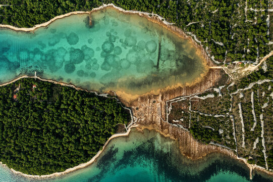Aerial view of the vibrant, turquoise waters meeting the rugged coastline, contrasting with the dense green forests, Primosten, Sibenik-Knin County, Croatia.