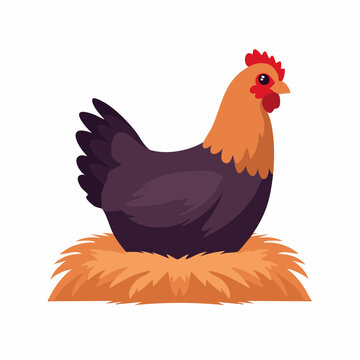 Cartoon Chicken Sitting on Hay Nest