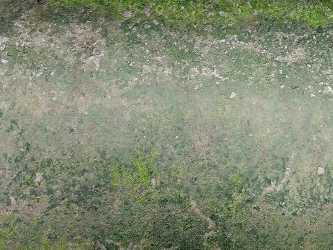 Weathered concrete surface with green moss and algae growth texture