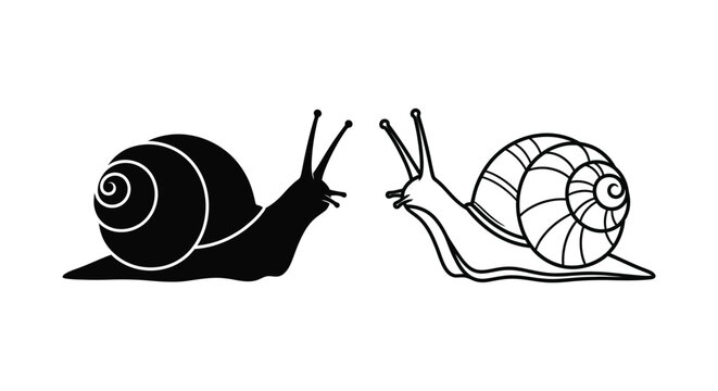 Snails Mating Illustration - Nature Vector Art Vector