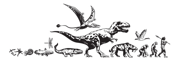 Timeline of evolution of life on Earth. © Olena