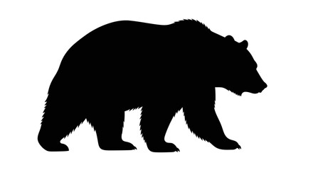 Fototapeta premium Black bear walking profile silhouette.