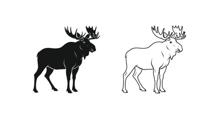 Fototapeta premium Moose vs Elk Antlers Comparison Guide Vector