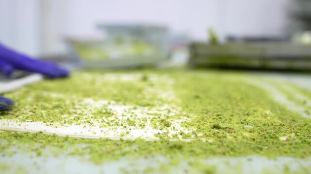 Close-up of a chef sprinkling ground pistachios over thin phyllo dough and rolling it with a rod during baklava preparation. Traditional Turkish dessert making process in a professional kitchen.