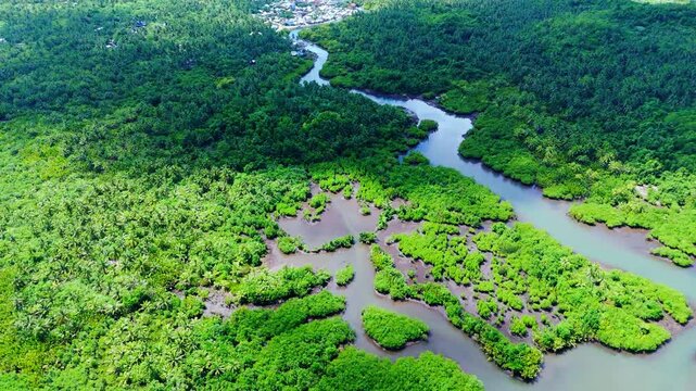 High-angle top-down drone perspective of the Maasin River carving through a thick tropical jungle in Siargao. Vibrant emerald green colors and unique natural patterns of the forest