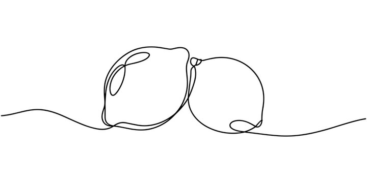 Lemon and half of lemon one line. Continuous line drawing of citrus fruits, vector, Continuous single line drawing of orange fruit, Orange fruit in one line art drawing style, Minimal black line