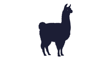 Black llama standing profile view. © alfan