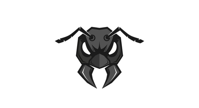 Black beetle insect close up.