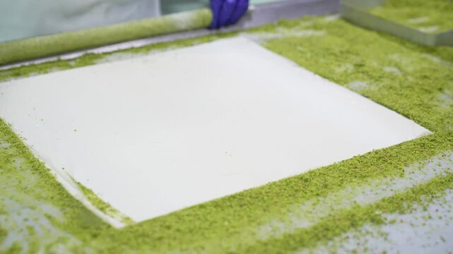 borek, borek making, phyllo dough, dough folding, pastry folding, thin dough, layered dough, savory pastry, pastry preparation, tray, tray placement, preparation stage, kitchen, gastronomy, Turkish cu