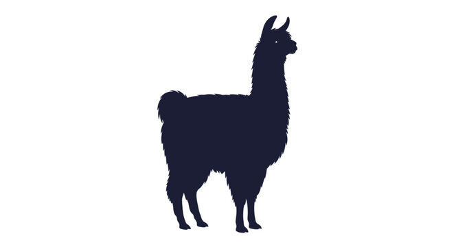 Black llama standing profile view.