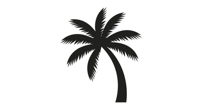 Black silhouette of a palm tree.