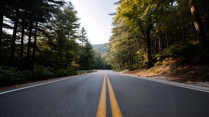 Fototapeta premium An empty asphalt road stretching into a dense verdant forest canopy capturing the serene essence of a journey through nature