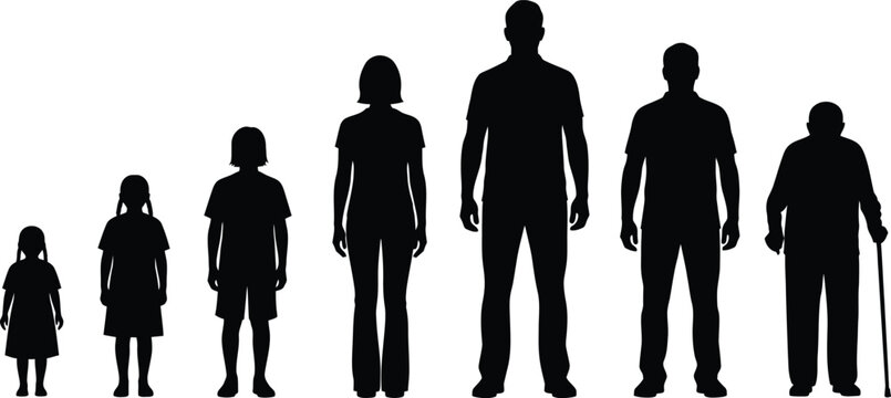 Family silhouette depicting growth stages and generational lineage