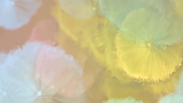 Soft Bokeh Lights Colorful Blur Abstract Background