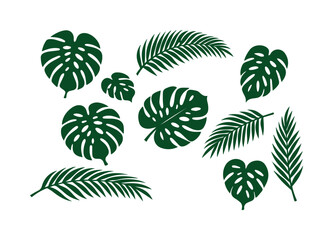 Tropical leaves vector collection, dark green exotic foliage silhouettes, botanical design elements for summer, jungle, and nature-themed projects © Haseeb's Work