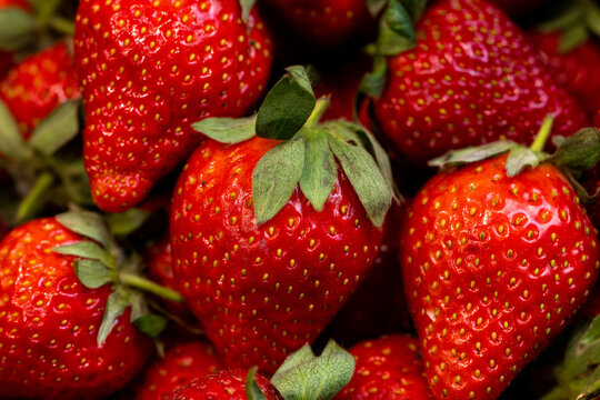 A close-up of Taiwan's abundant harvest of fresh, ripe red strawberries, piled high with fruit.