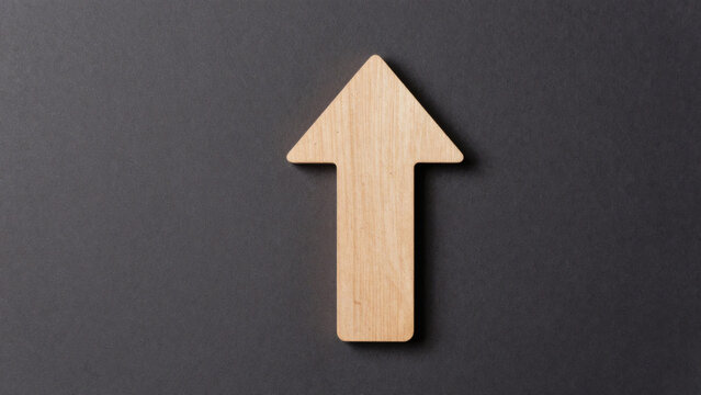 Unique fl&egrave;che en bois sur fond gris anthracite. Symbole de croissance, de progression, d'&eacute;volution. Id&eacute;al pour la conception graphique.