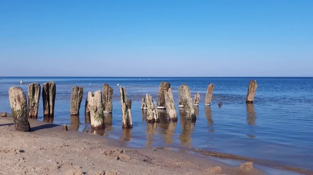 Serene seaside landscape with calm coastal surf water waves rolling on empty sand beach and old wooden breakwater of Baltic sea shore under clear blue sky at spring day. Seascape natural background.