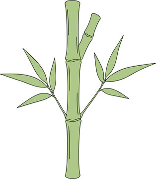A simple illustration depicts a section of green bamboo stalk with several lanceolate leaves extending from its branches high quality professional detailed modern