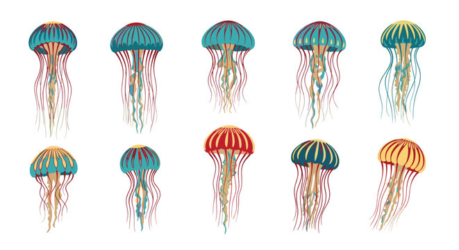 Group of stylized jellyfish in various colors like blue, red, and yellow exhibit long flowing tentacles in this aquatic illustration.