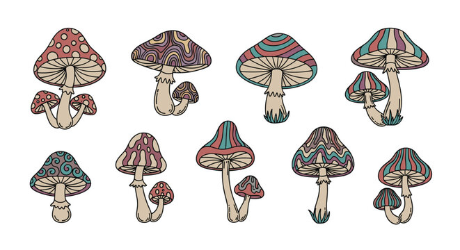 Large collection of illustrated psychedelic mushrooms features various shapes, sizes, and colorful patterns like stripes and swirls.