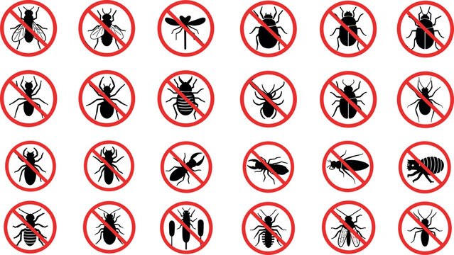 No insects allowed prohibition signs vector set with bugs pests warning icons isolated flat illustration collection for pest control