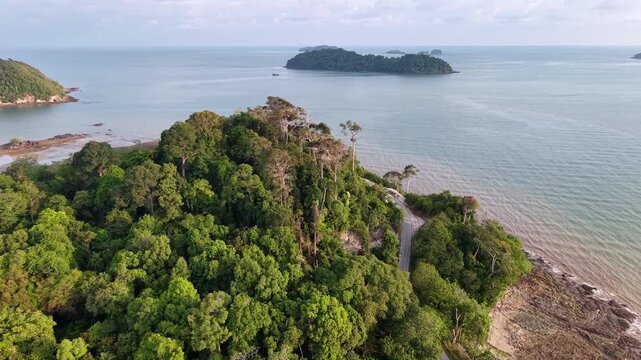 Aerial view reveals lush green forest on a narrow coastal peninsula