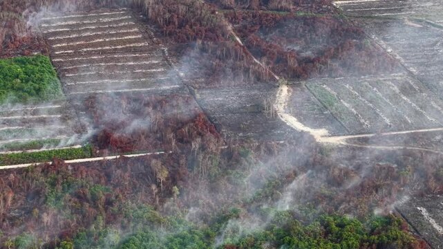 Aerial smoke rises from burned farmland