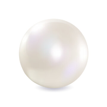 Close-up of a smooth, iridescent pearl on a white background. Vector illustration