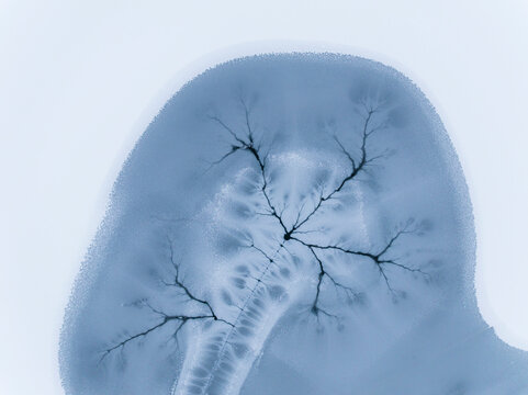 Ice texture background shows frozen patterns on a lake surface, creating a natural abstract design, winter concept.