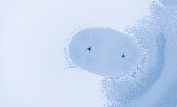 Abstract background of blue ink dissolving in water, creating unique patterns and textures, concept for creativity.