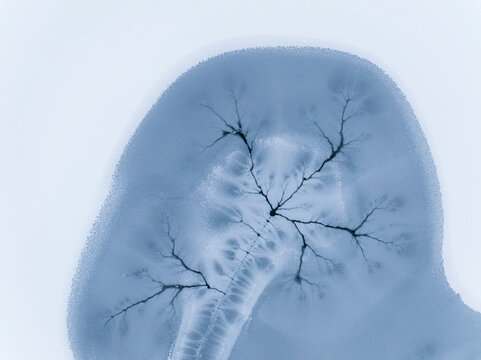 Ice texture background shows frozen patterns on a lake surface, creating a natural abstract design, winter concept.