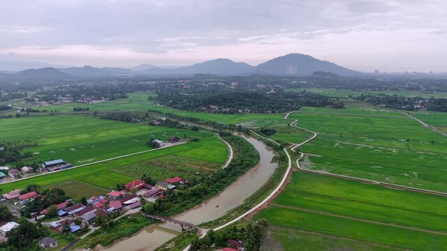 Drone footage showing river, rice paddies and village near Labuh Banting in Malaysia.
