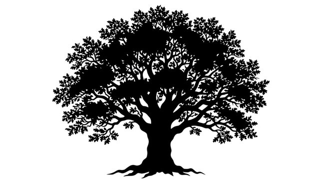 silhouette of an old big tree
