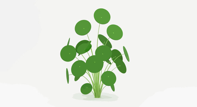 Minimalist Pilea Peperomioides Houseplant Illustration