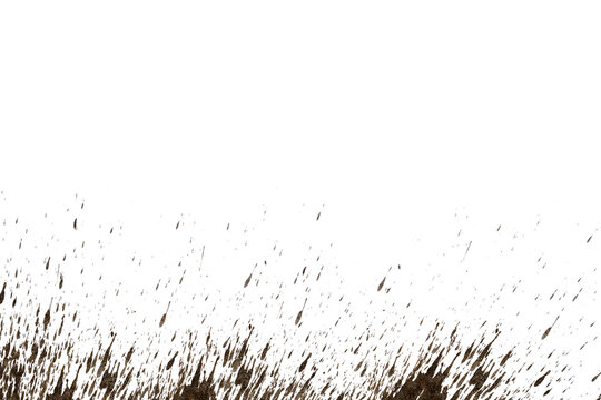  mud splash isolated transparency background..