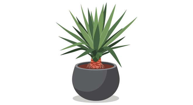 A vibrant stylized illustration of a yucca plant growing in a dark rounded ceramic pot