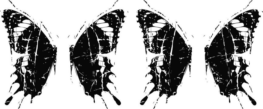 butterfly wing patterns in black and white, close up symmetrical insect designs