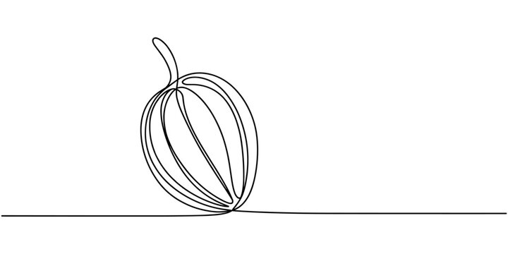 betel nut continuous one line drawing, areca nut, scientific name Areca catechu, isolated on white background, Vector illustration, green, Collection of betel nut icons, editable and resizable vector.