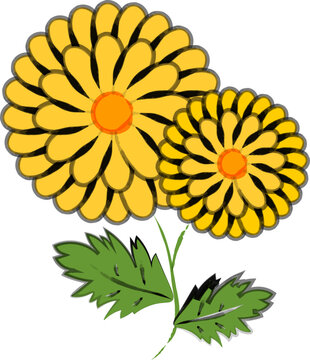 筆で描いたシンプルな和風の菊の花のイラスト